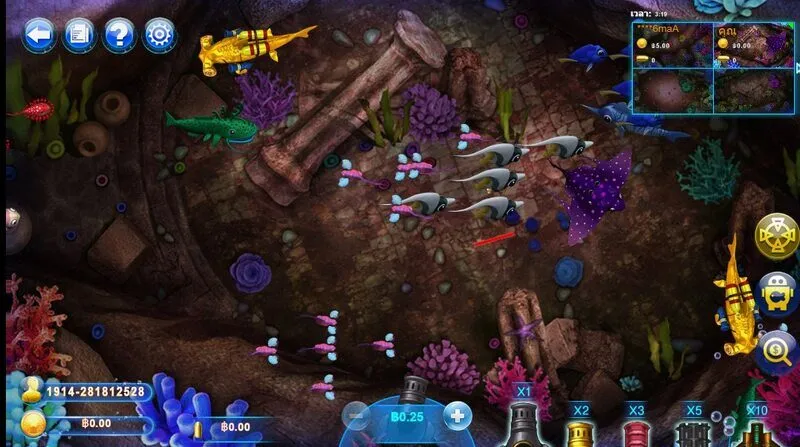 รีวิวเกม Fish Catch x5bet